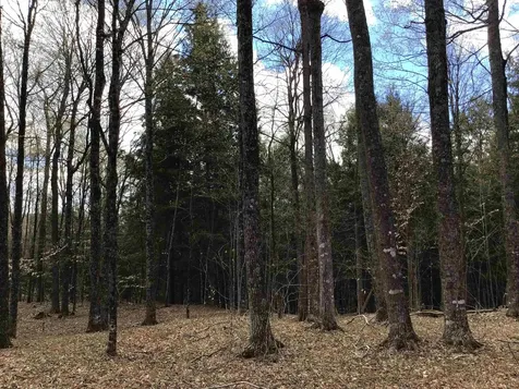 475 Threshold Way Corinth VT 05039