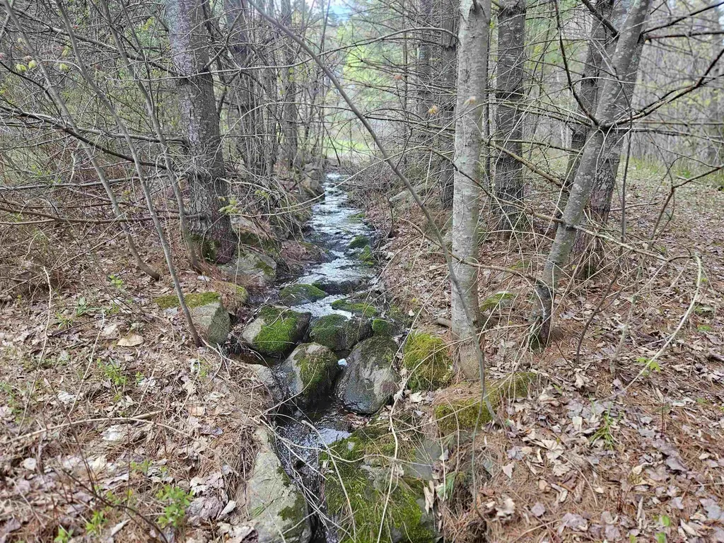 25 Yeaw Road Dover VT 05341