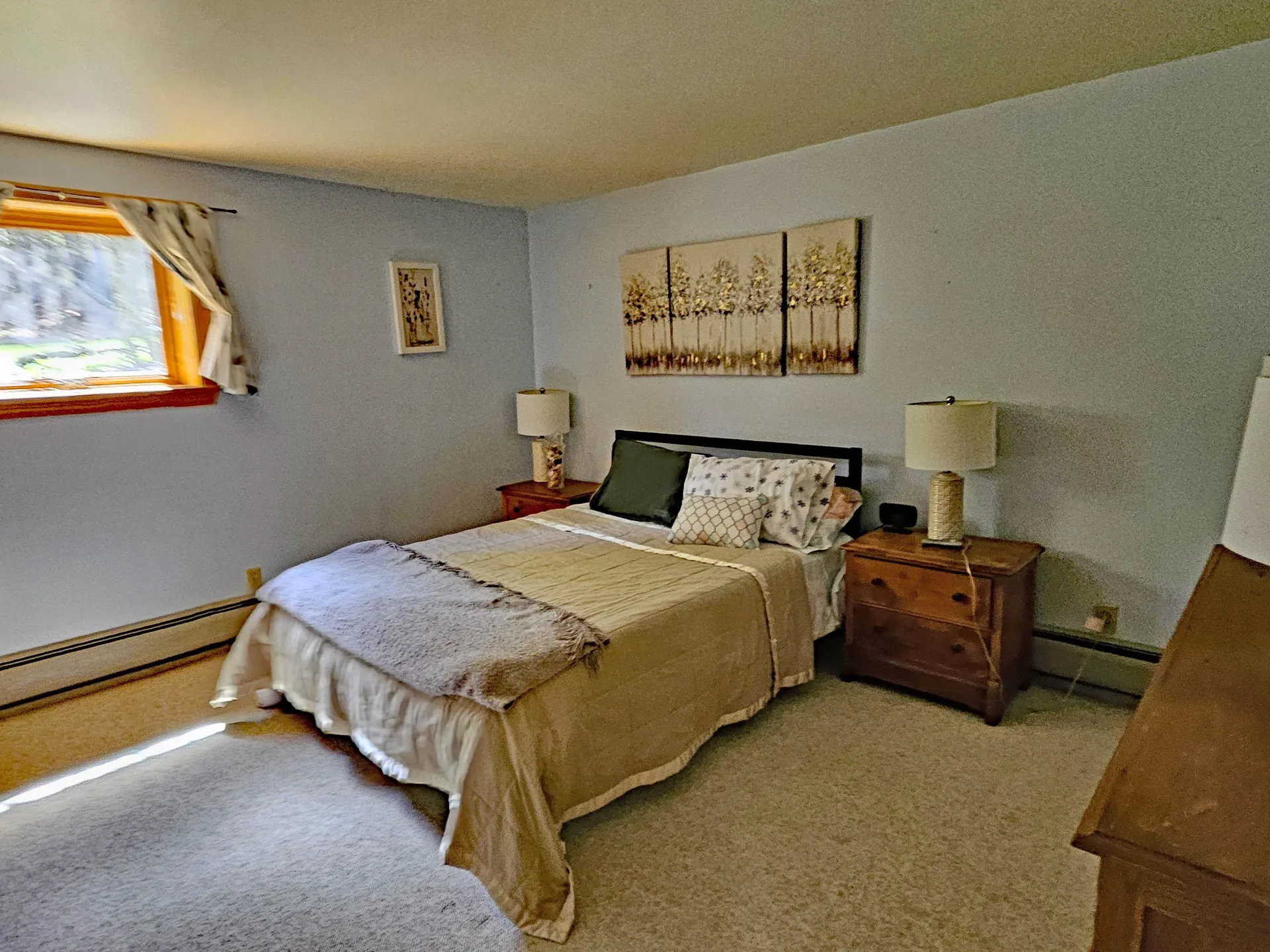 25 Yeaw Road Dover VT 05341