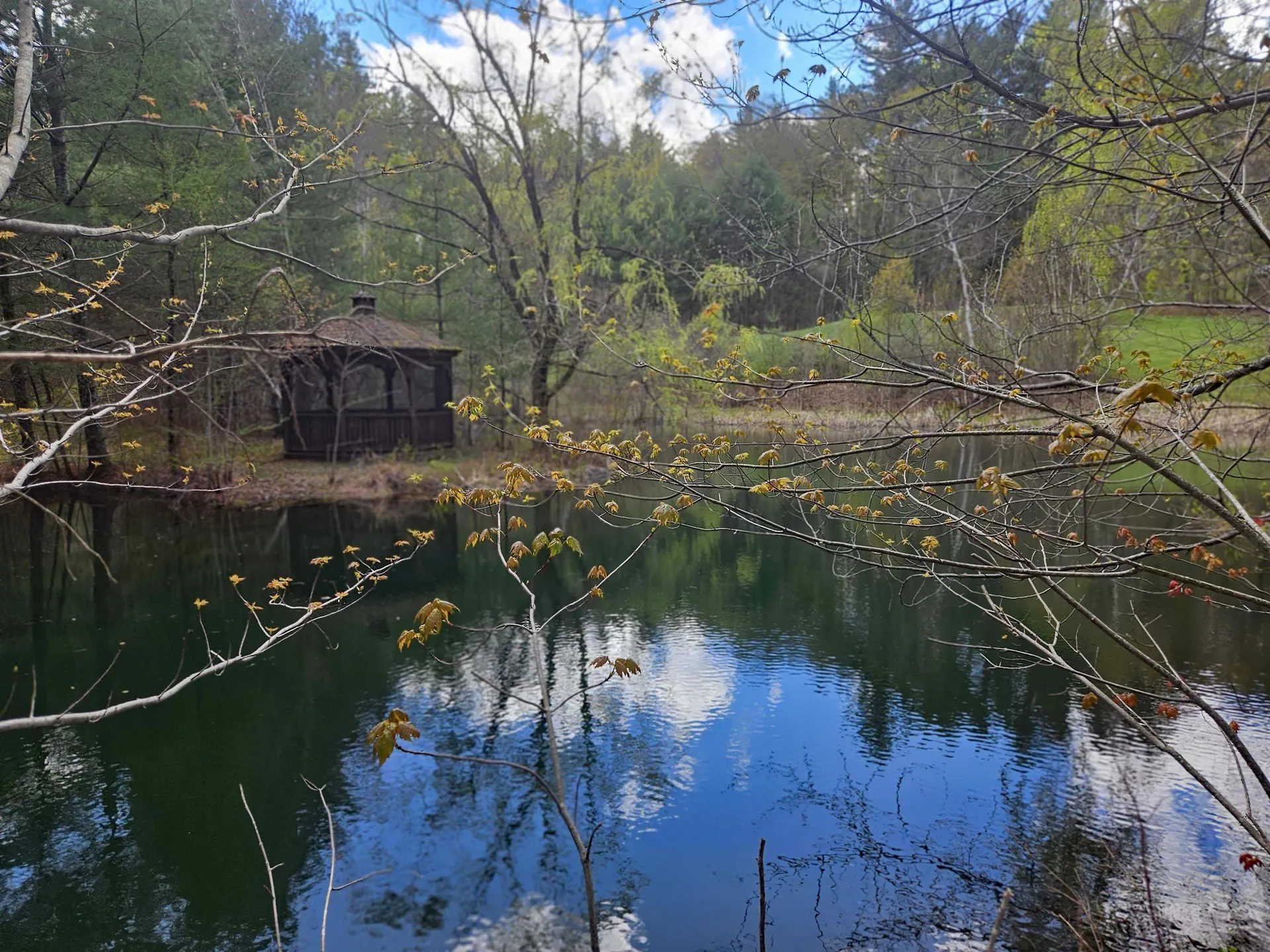 25 Yeaw Road Dover VT 05341