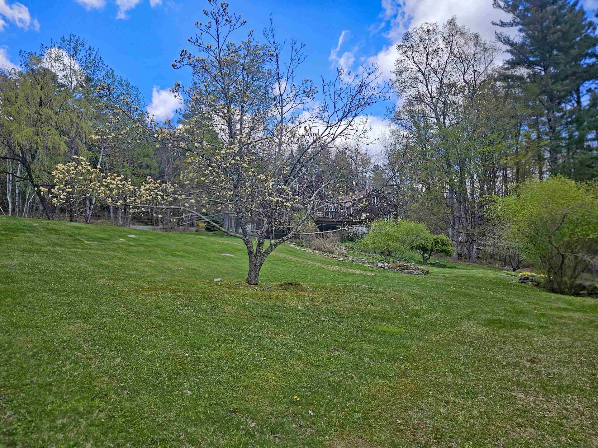25 Yeaw Road Dover VT 05341