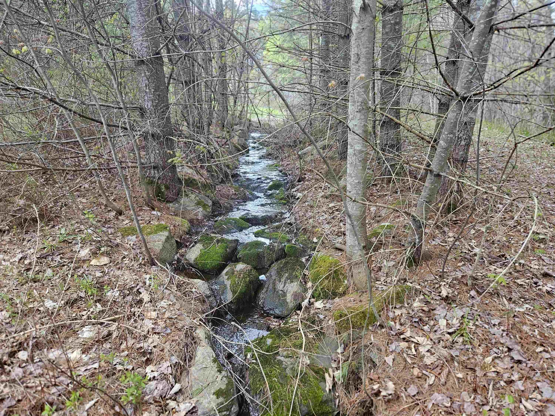 25 Yeaw Road Dover VT 05341