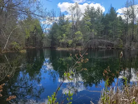 25 Yeaw Road Dover VT 05341