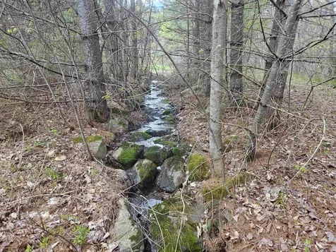 25 Yeaw Road Dover VT 05341
