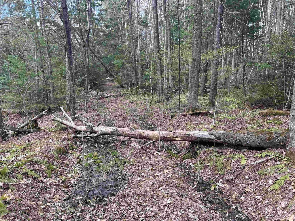 00 Boynton Road Londonderry VT 05148