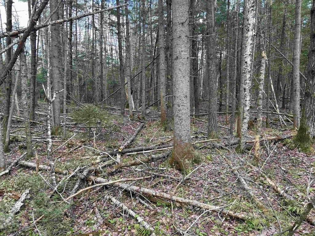 00 Boynton Road Londonderry VT 05148
