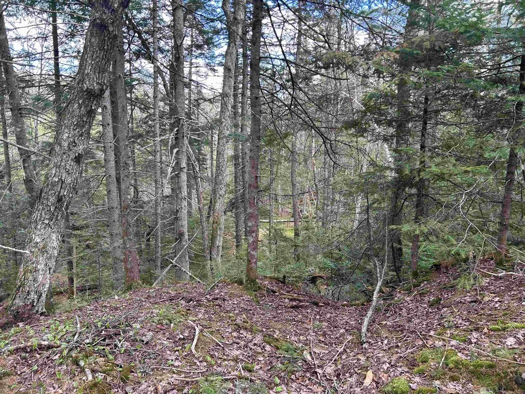 00 Boynton Road Londonderry VT 05148