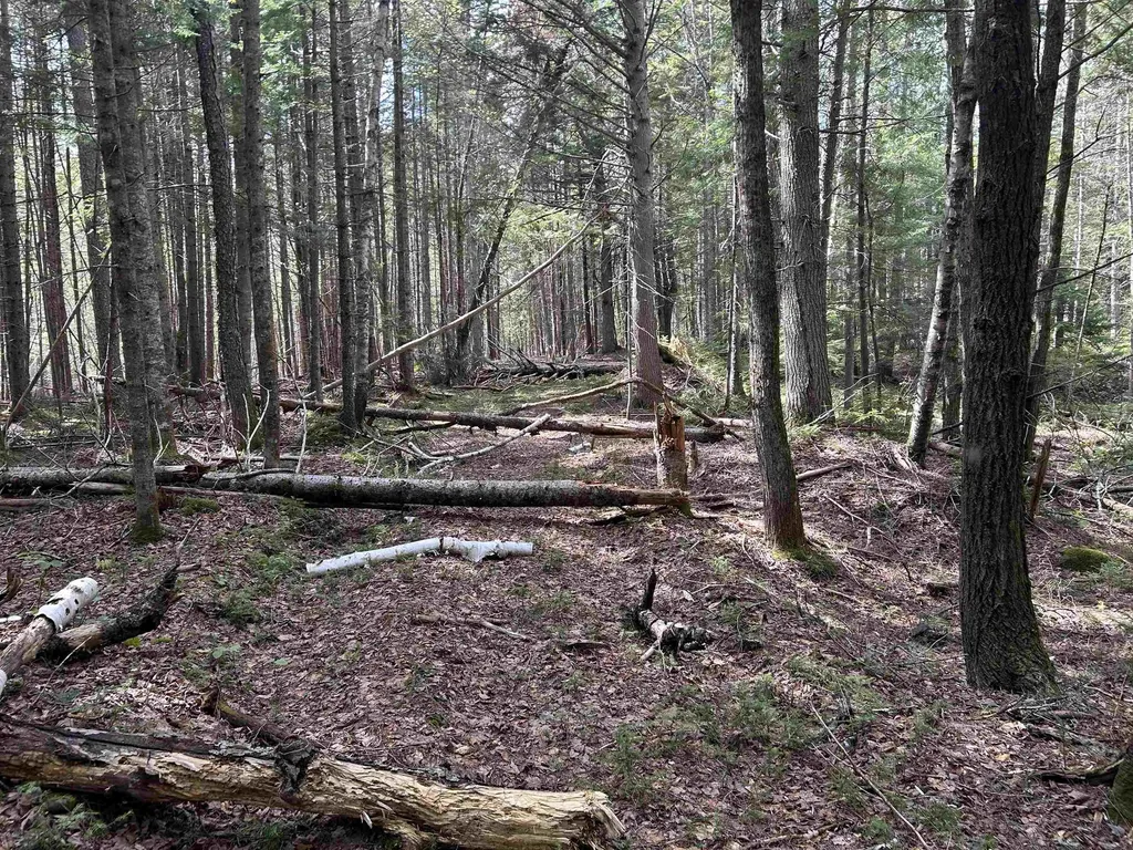 00 Boynton Road Londonderry VT 05148