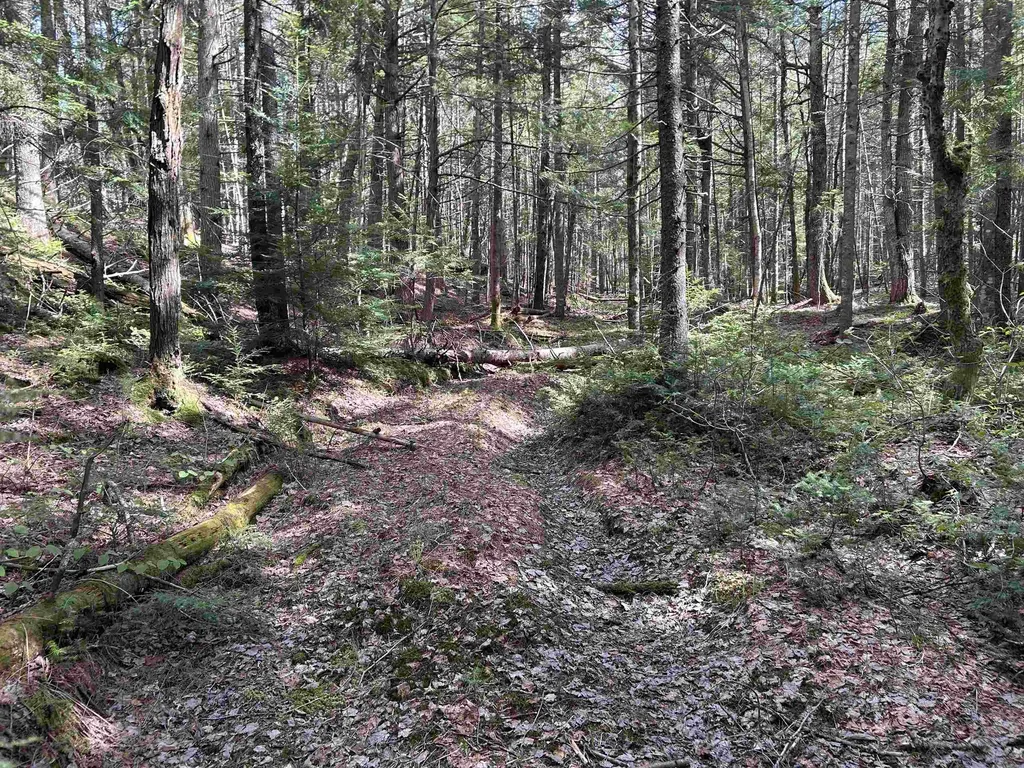 00 Boynton Road Londonderry VT 05148