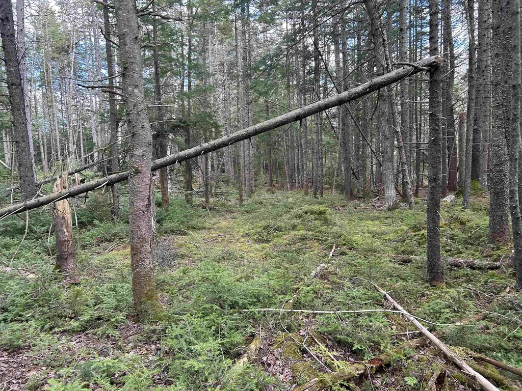 00 Boynton Road Londonderry VT 05148