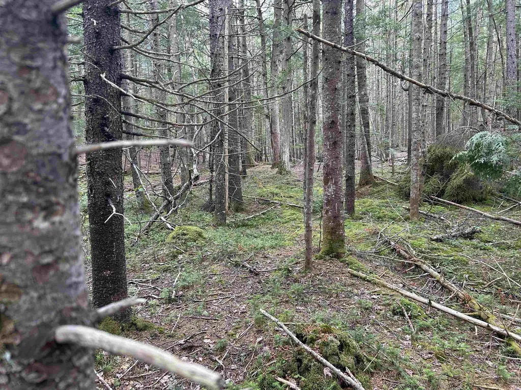 00 Boynton Road Londonderry VT 05148