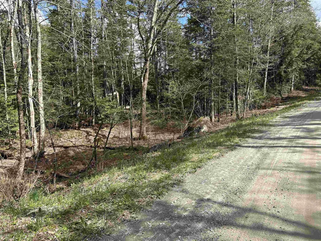 00 Boynton Road Londonderry VT 05148