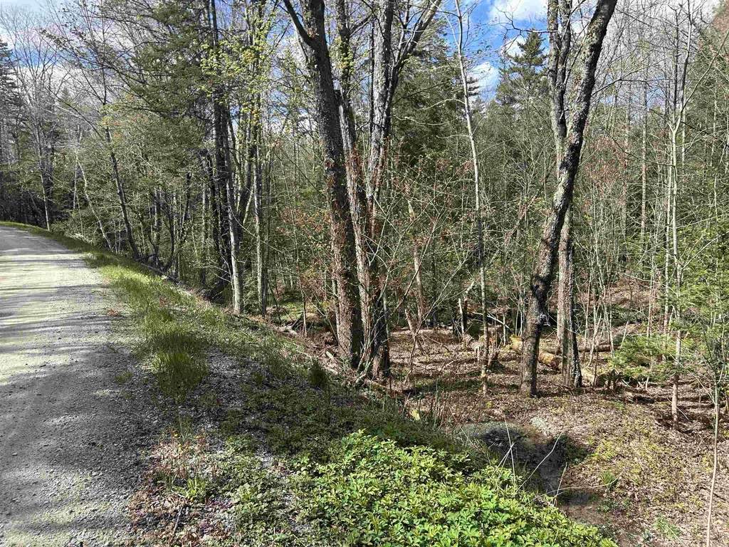 00 Boynton Road Londonderry VT 05148