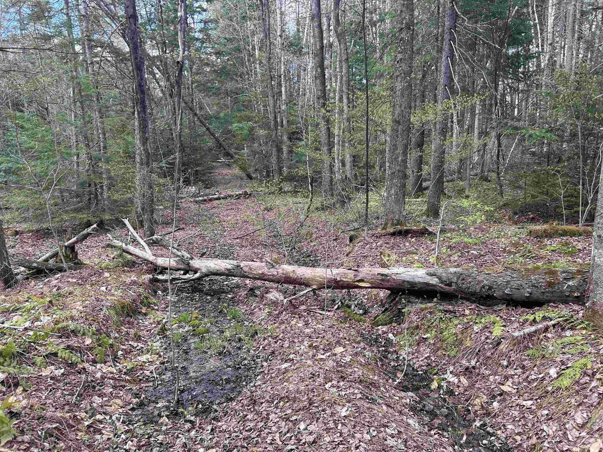 00 Boynton Road Londonderry VT 05148