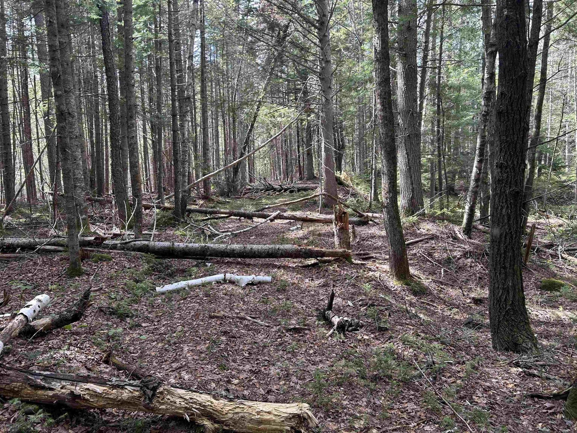 00 Boynton Road Londonderry VT 05148