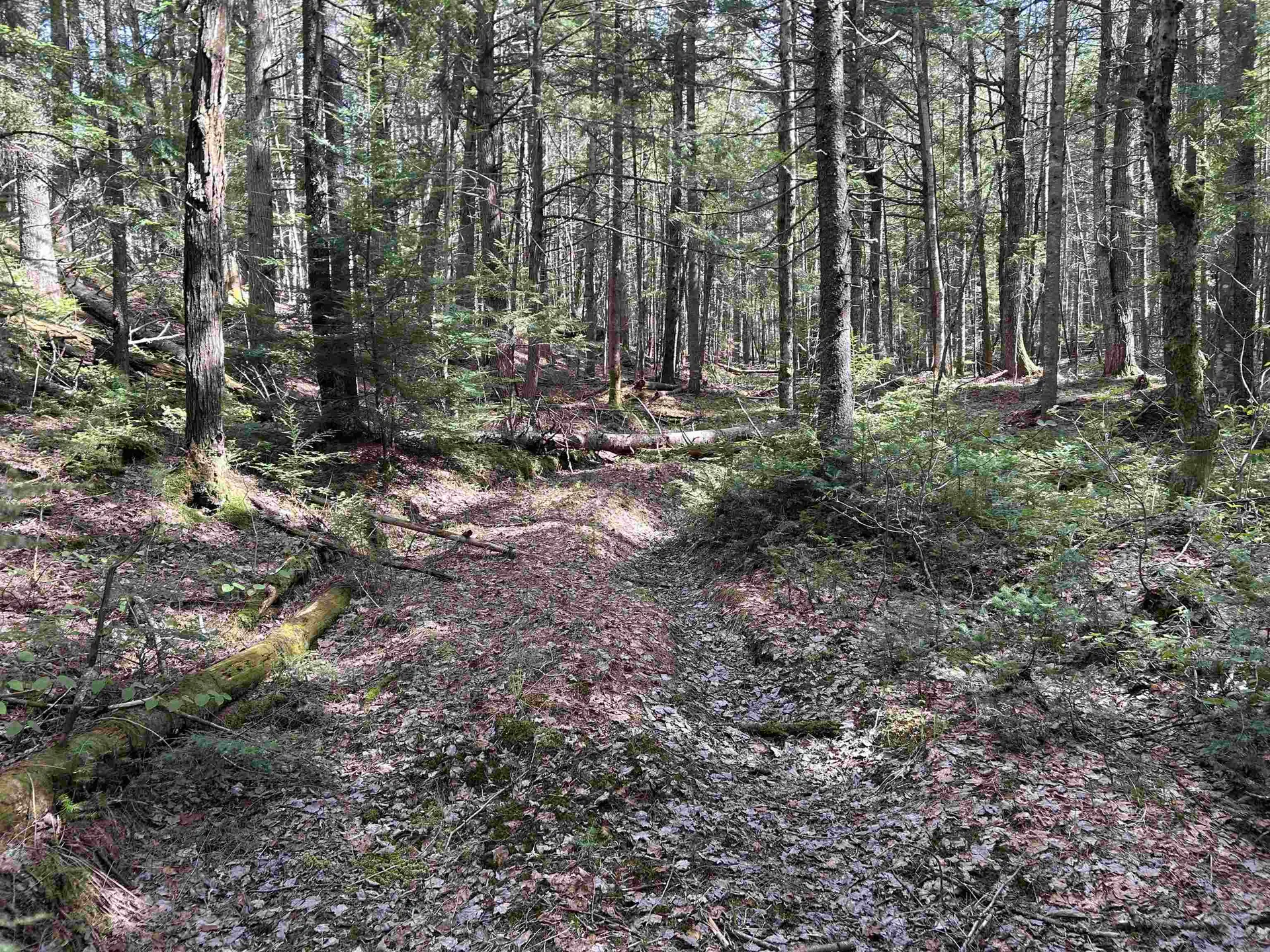 00 Boynton Road Londonderry VT 05148