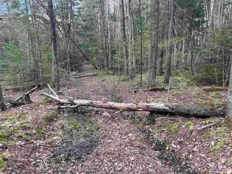 00 Boynton Road Londonderry VT 05148