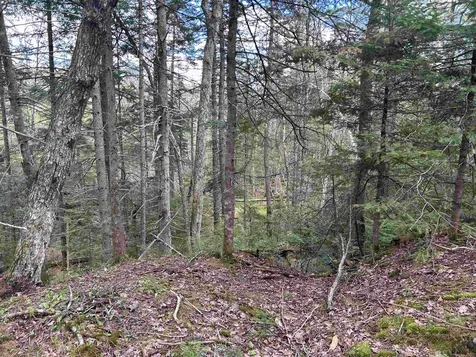00 Boynton Road Londonderry VT 05148