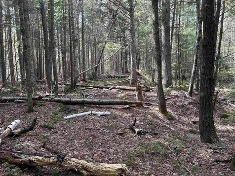 00 Boynton Road Londonderry VT 05148