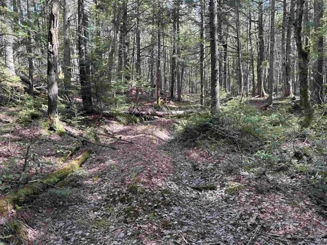 00 Boynton Road Londonderry VT 05148