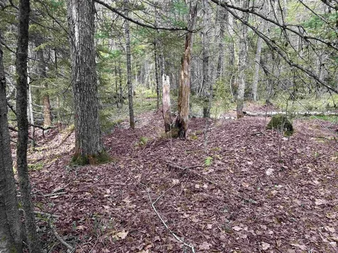 00 Boynton Road Londonderry VT 05148