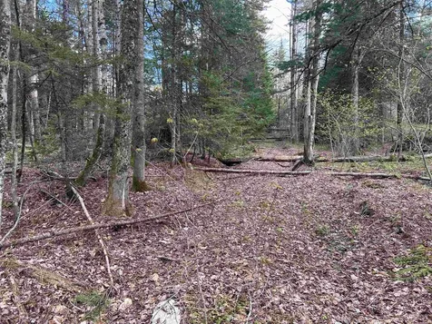 00 Boynton Road Londonderry VT 05148