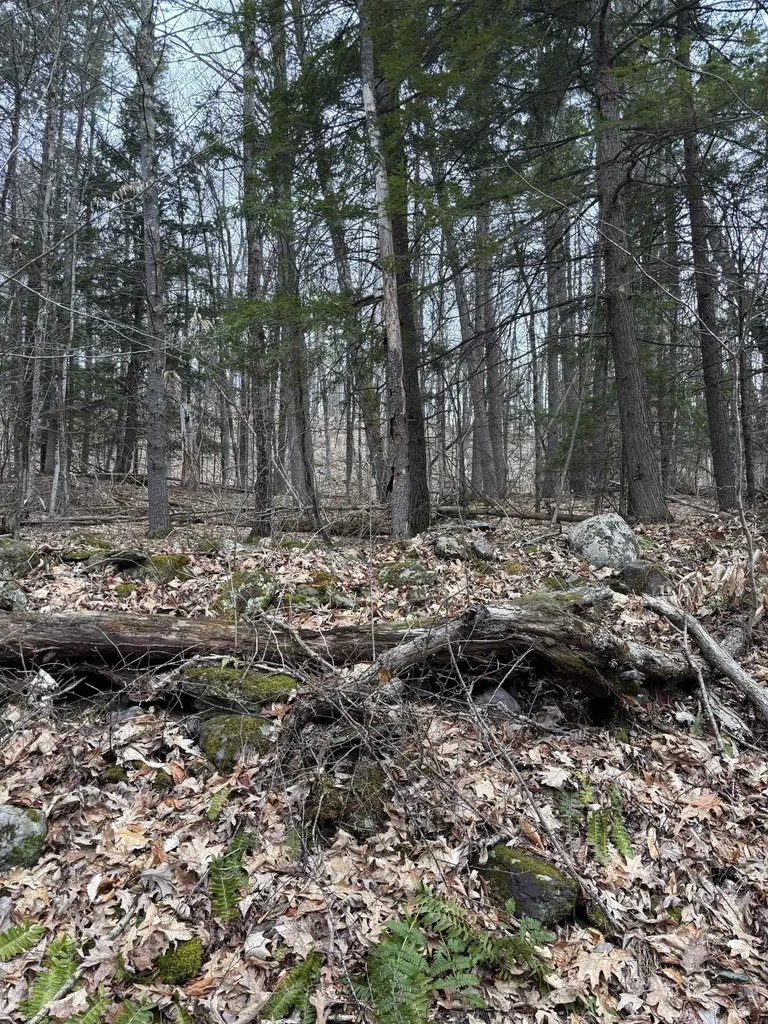 00 Coon Hill Road Castleton VT 05735