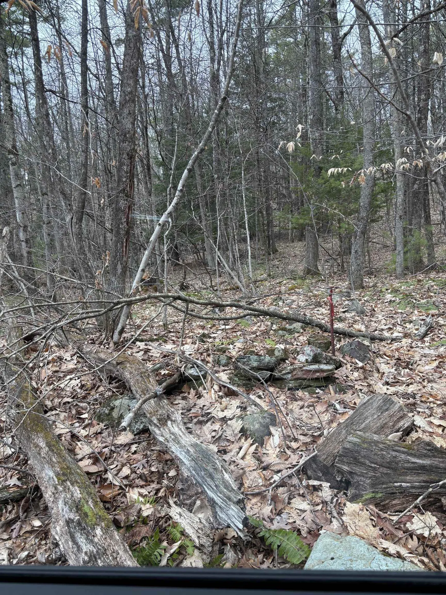 00 Coon Hill Road Castleton VT 05735