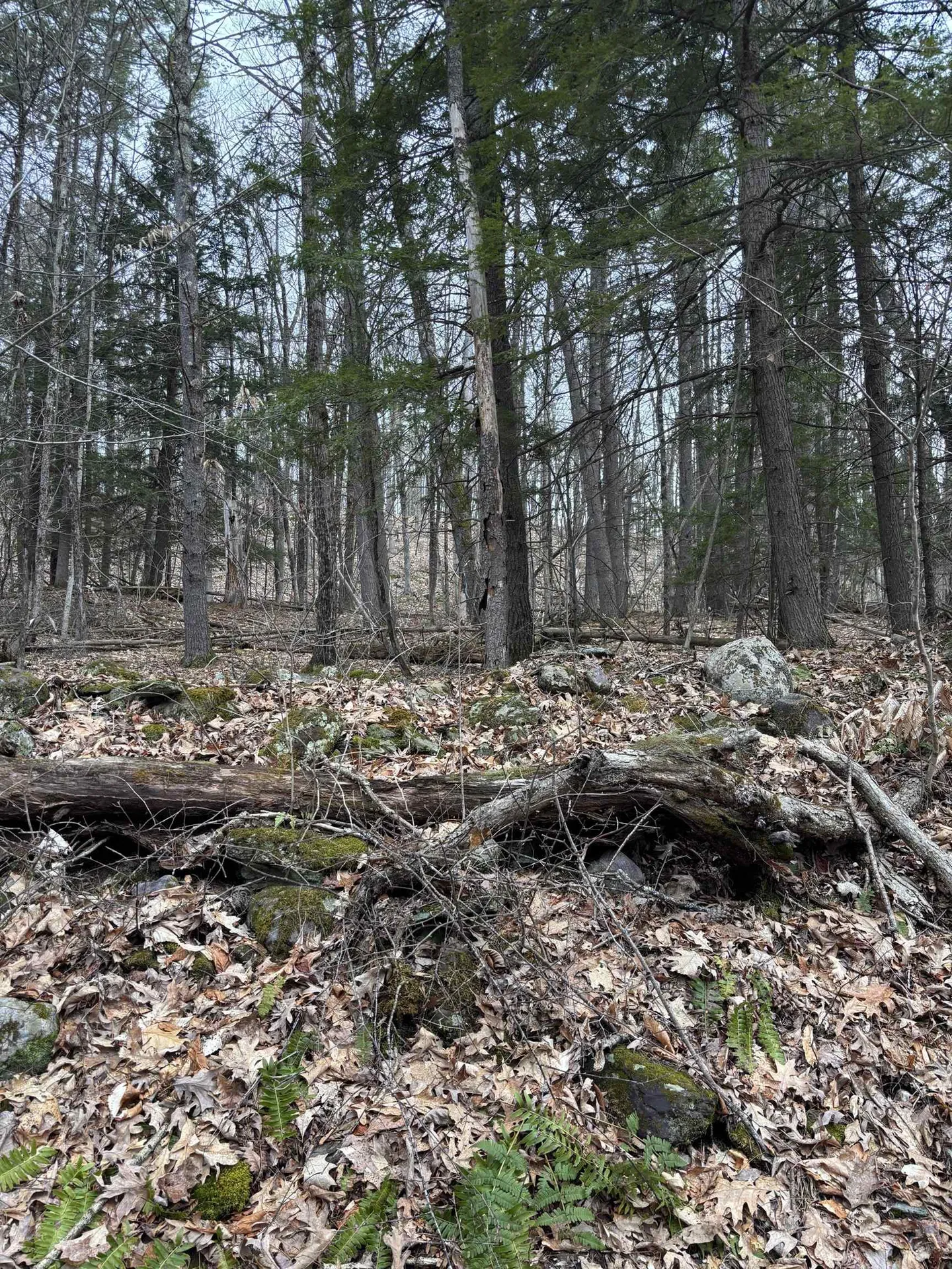 00 Coon Hill Road Castleton VT 05735