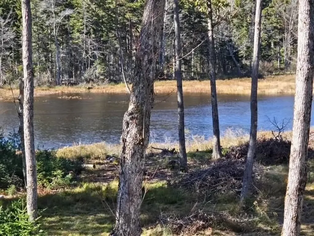 927 Ashueot Drive Washington NH 03280