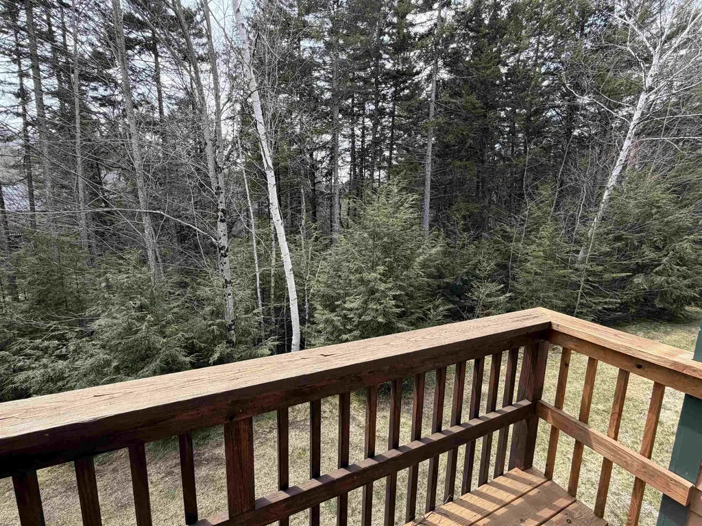 28 Tyler Spring Way Waterville Valley NH 03215