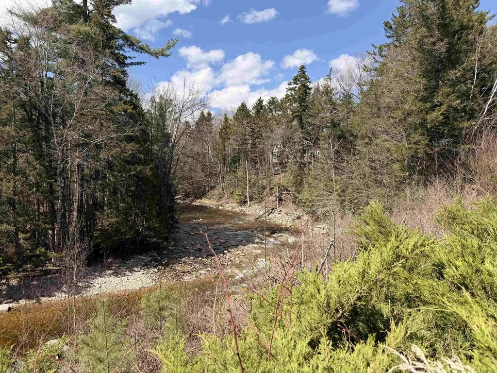 28 Tyler Spring Way Waterville Valley NH 03215