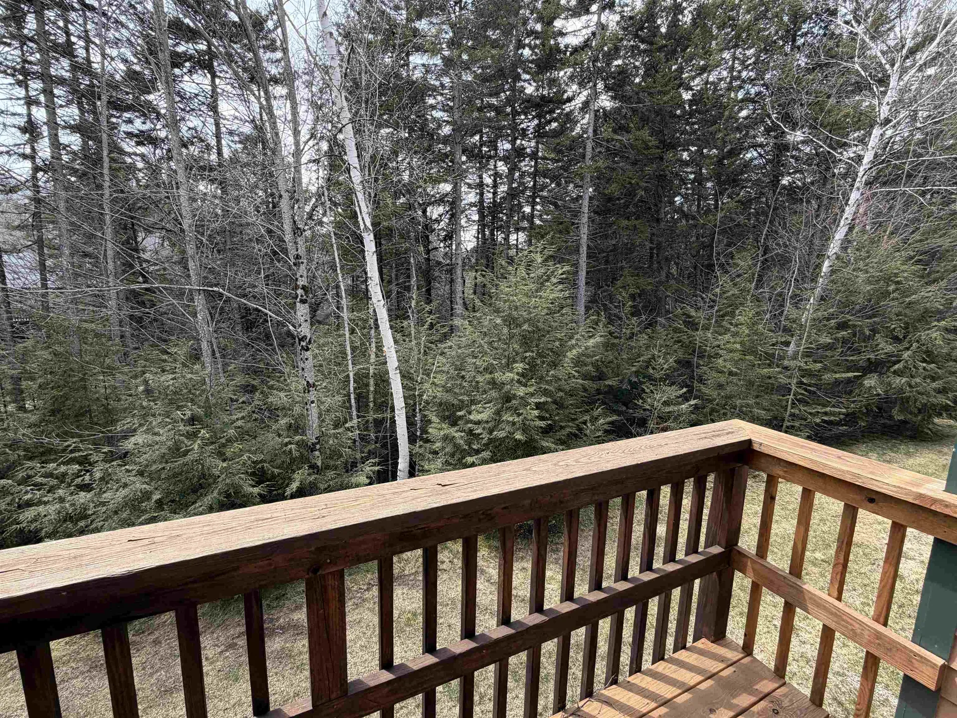 28 Tyler Spring Way Waterville Valley NH 03215