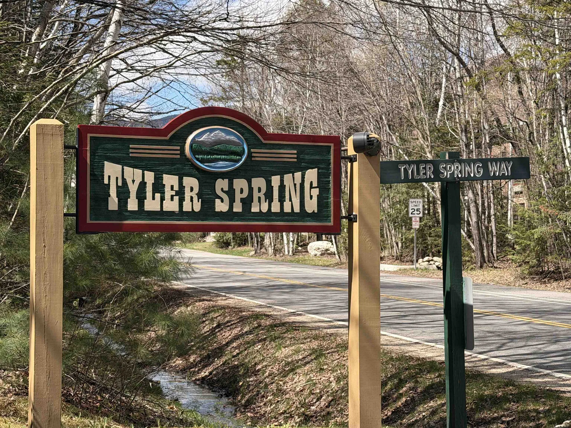 28 Tyler Spring Way Waterville Valley NH 03215