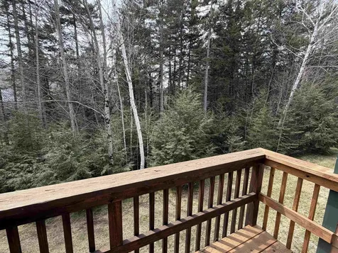 28 Tyler Spring Way Waterville Valley NH 03215