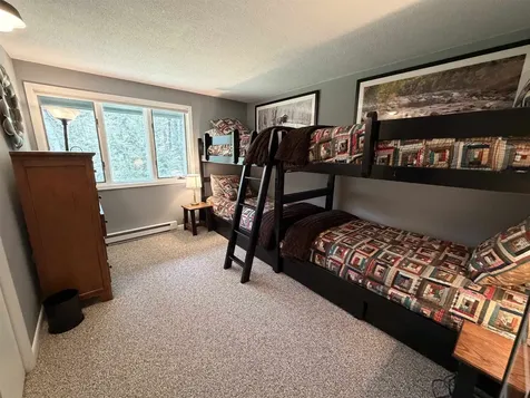 28 Tyler Spring Way Waterville Valley NH 03215