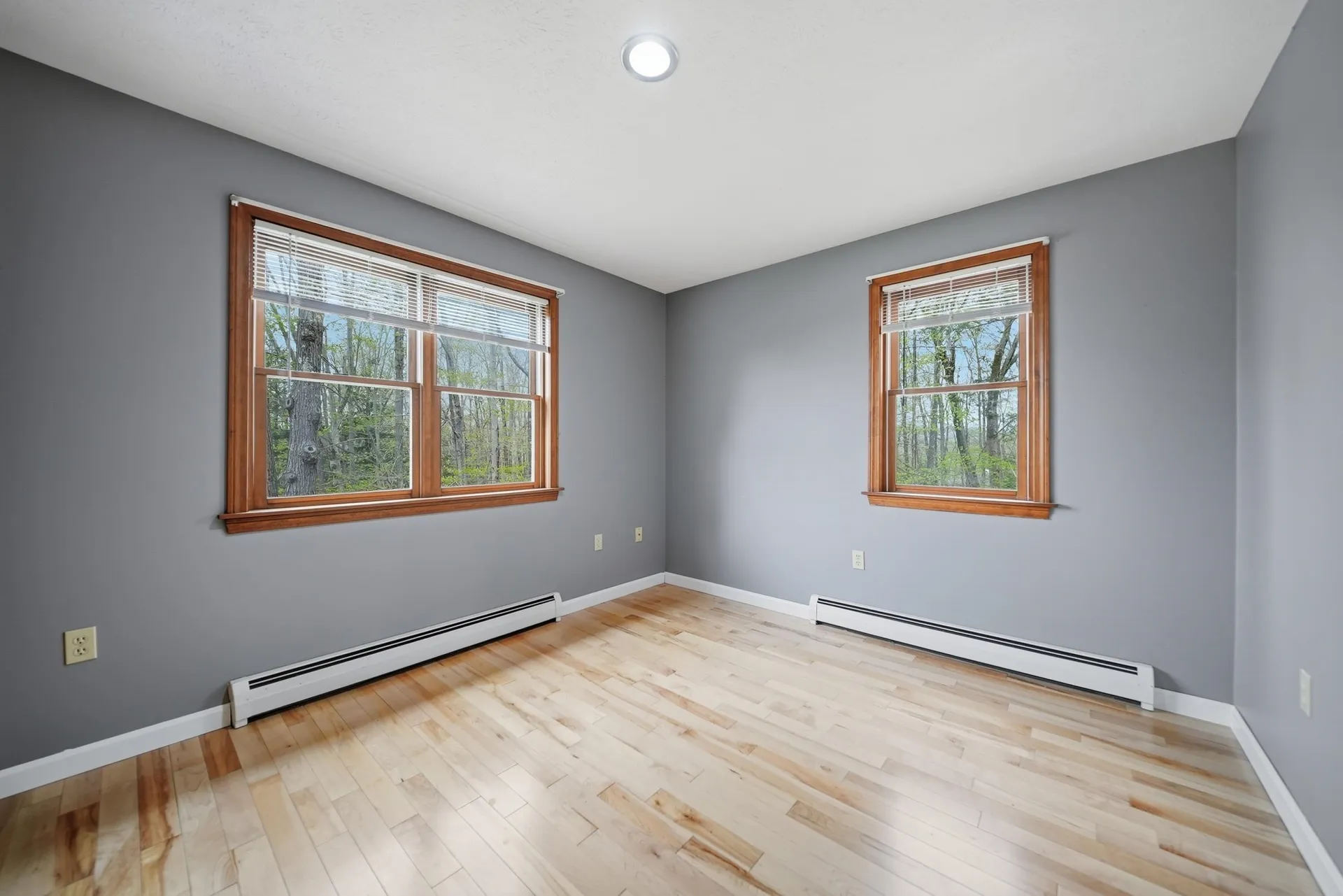 142 Forestview Drive Chesterfield NH 03462