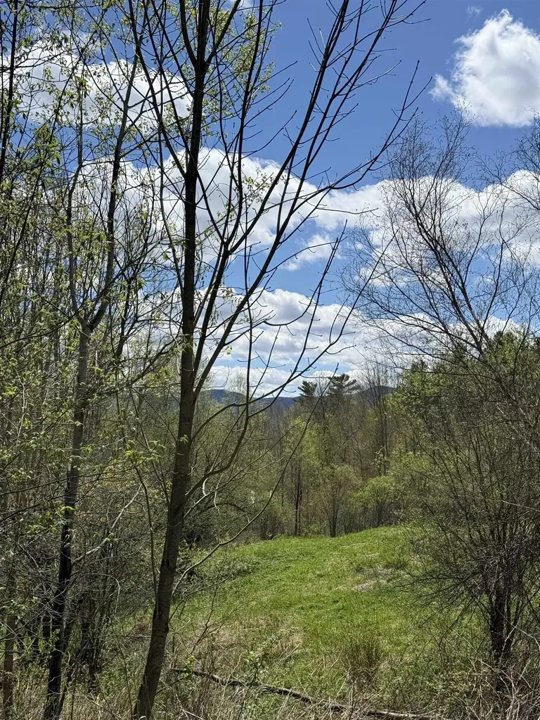 2527 Bent Hill Road Braintree VT 05060