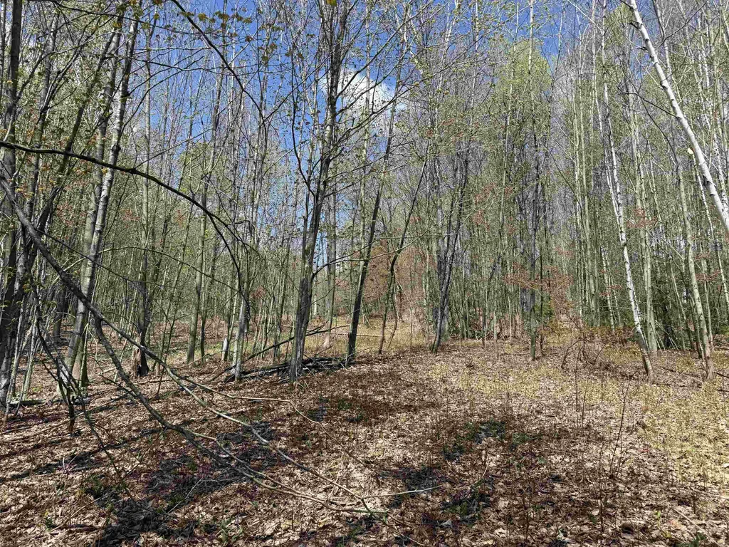 2527 Bent Hill Road Braintree VT 05060