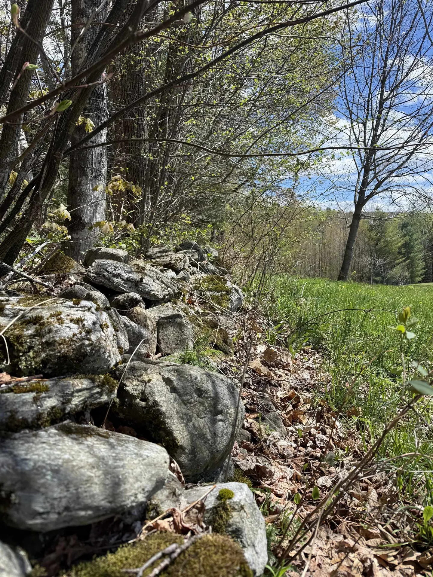 2527 Bent Hill Road Braintree VT 05060