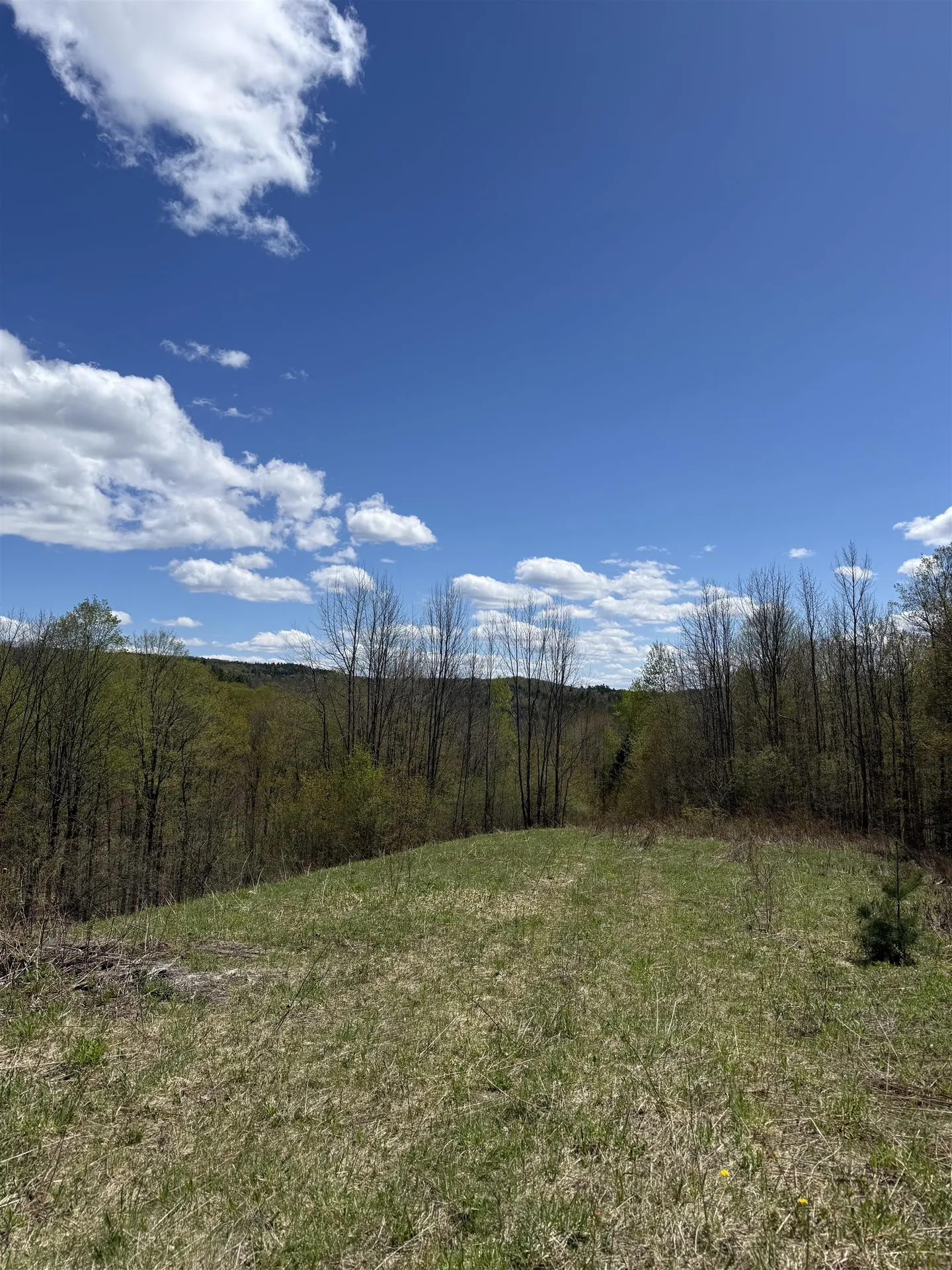 2527 Bent Hill Road Braintree VT 05060