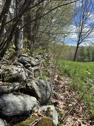 2527 Bent Hill Road Braintree VT 05060