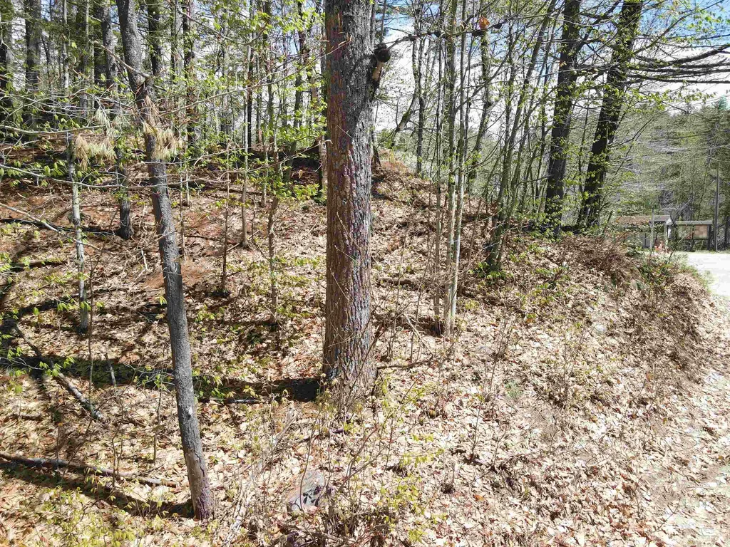 12 Eidelweiss Drive Madison NH 03849