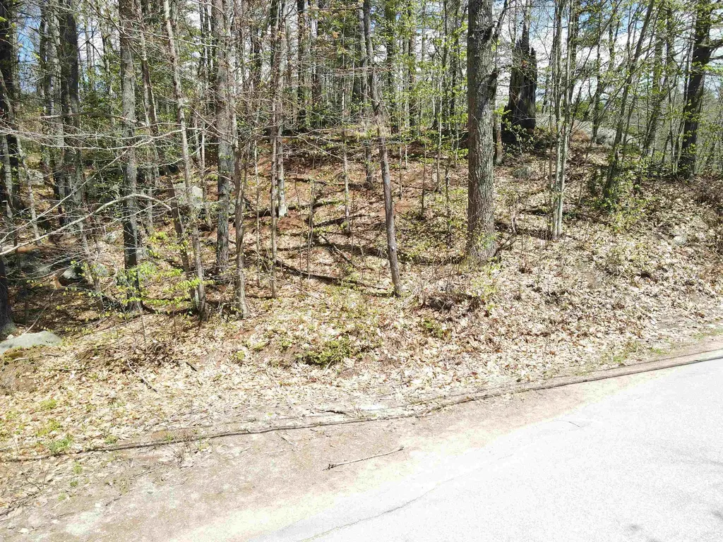 12 Eidelweiss Drive Madison NH 03849