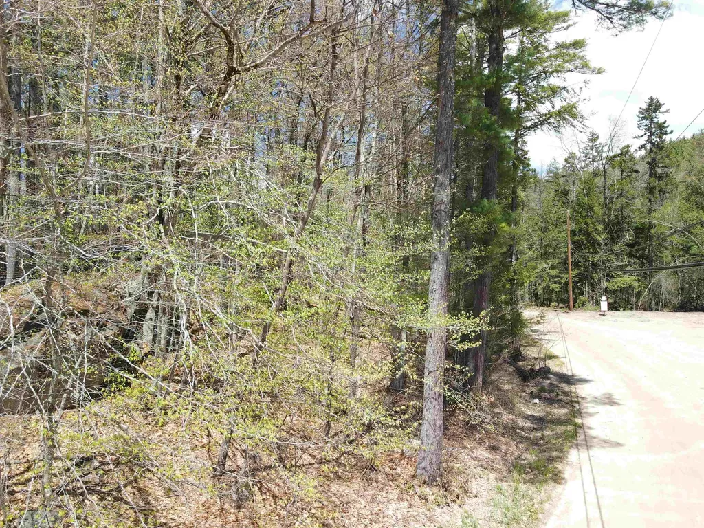 12 Eidelweiss Drive Madison NH 03849