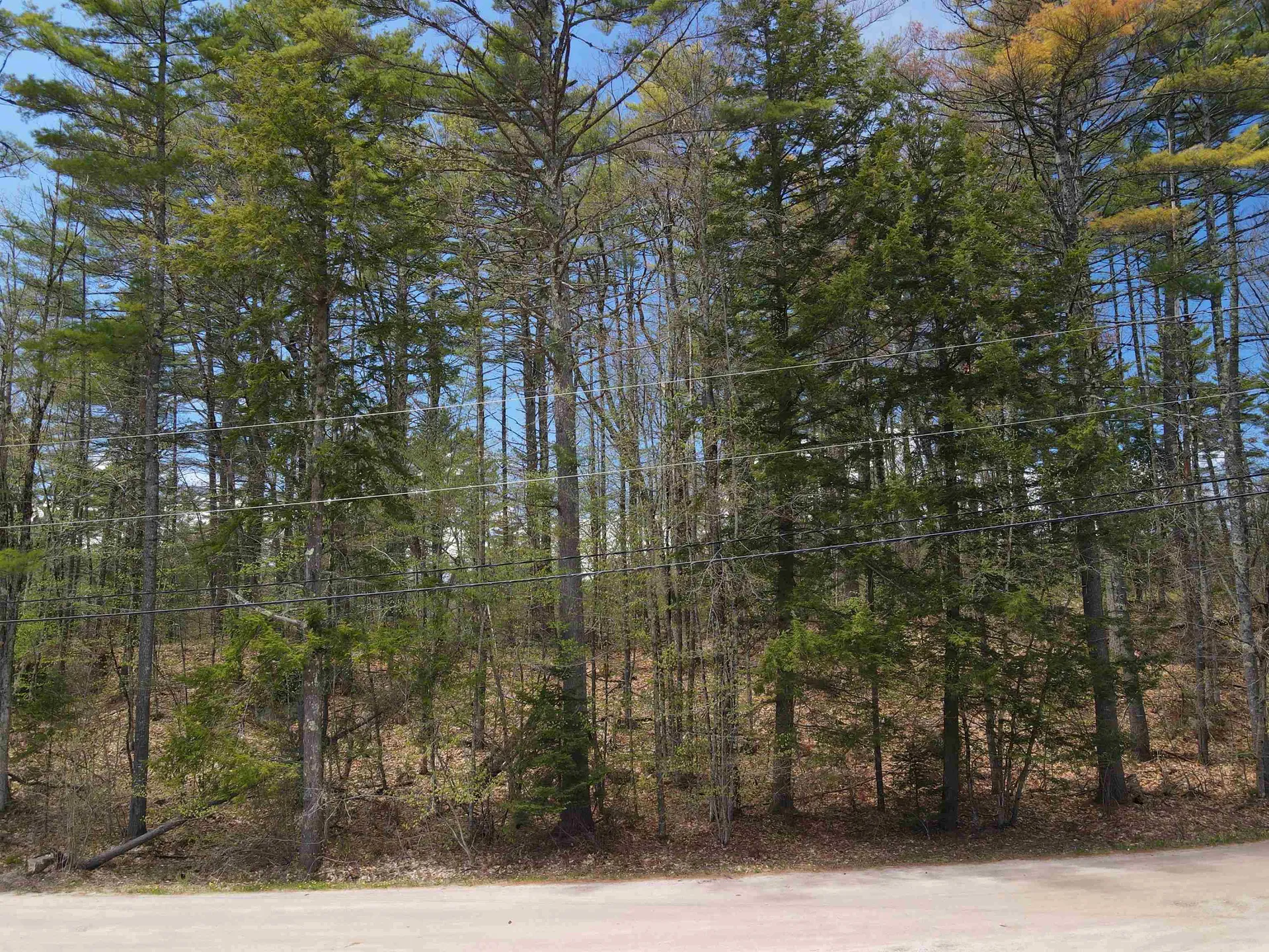 12 Eidelweiss Drive Madison NH 03849