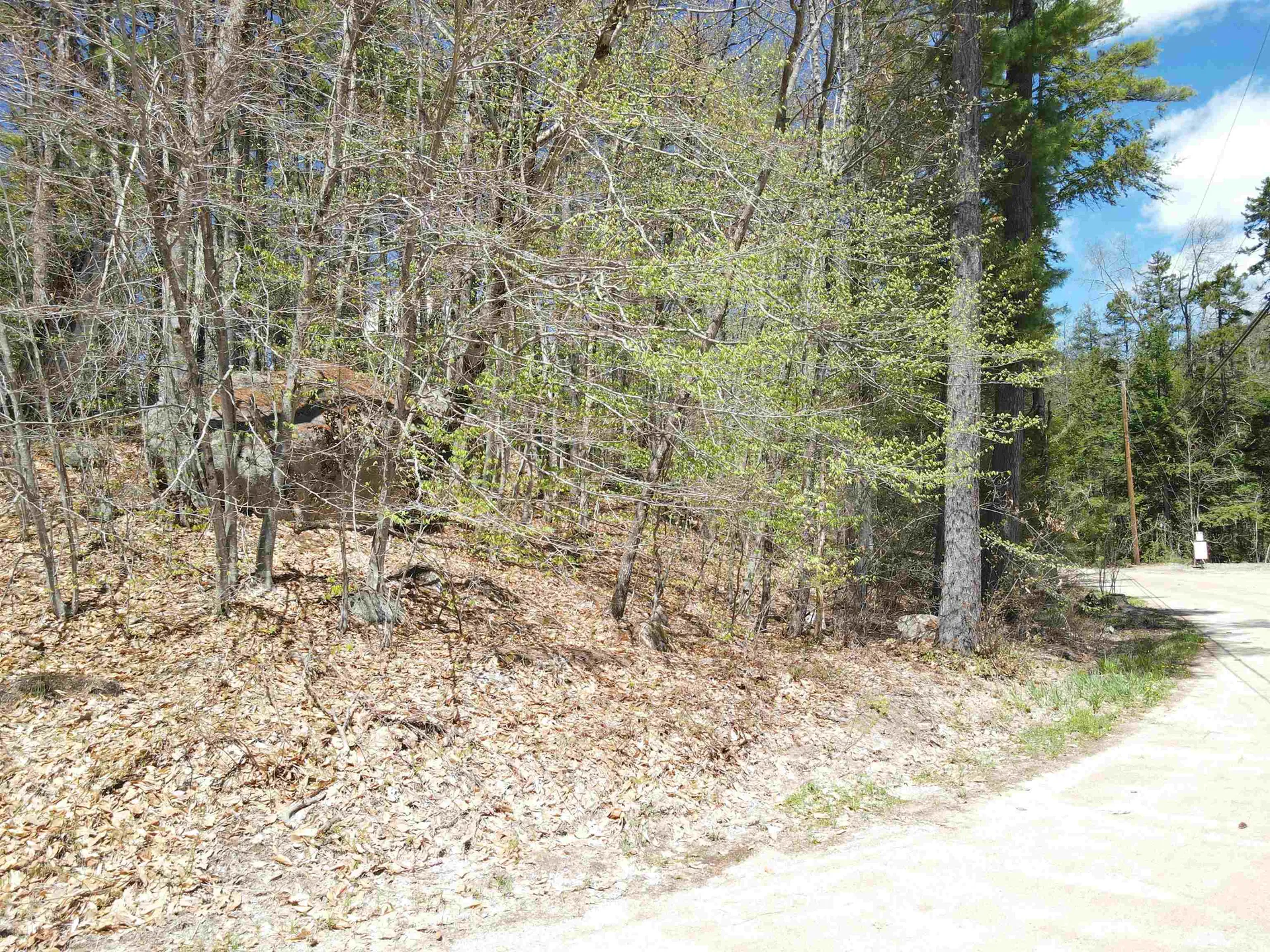 12 Eidelweiss Drive Madison NH 03849