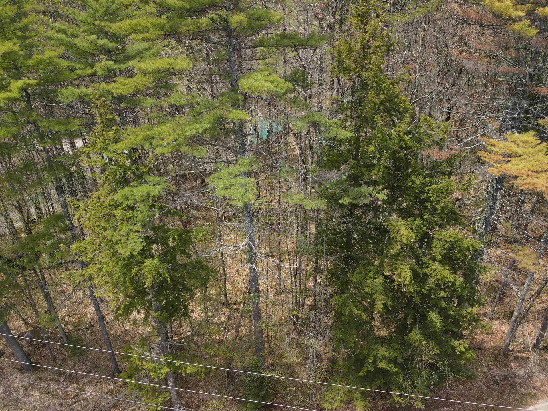 12 Eidelweiss Drive Madison NH 03849