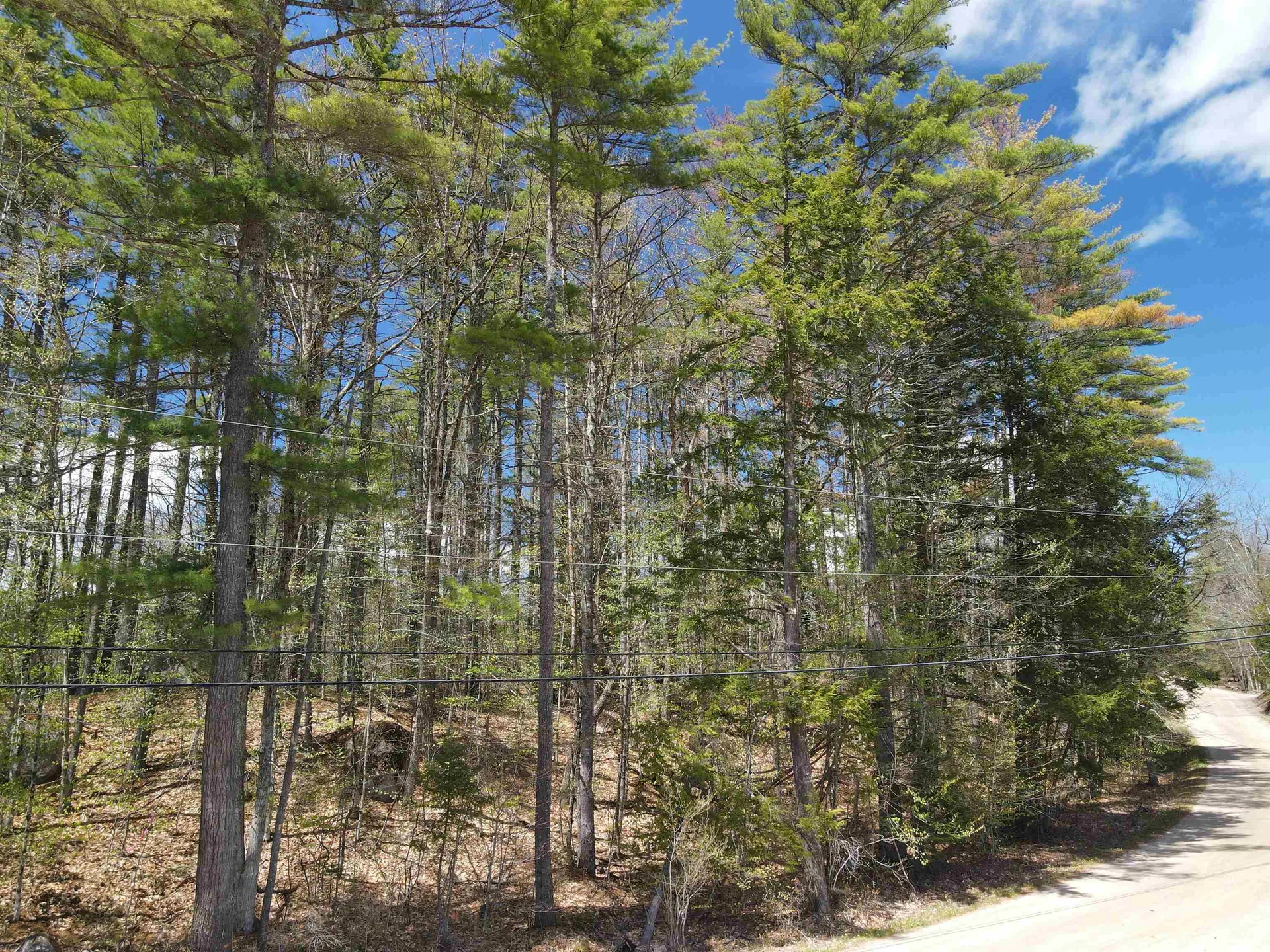 12 Eidelweiss Drive Madison NH 03849
