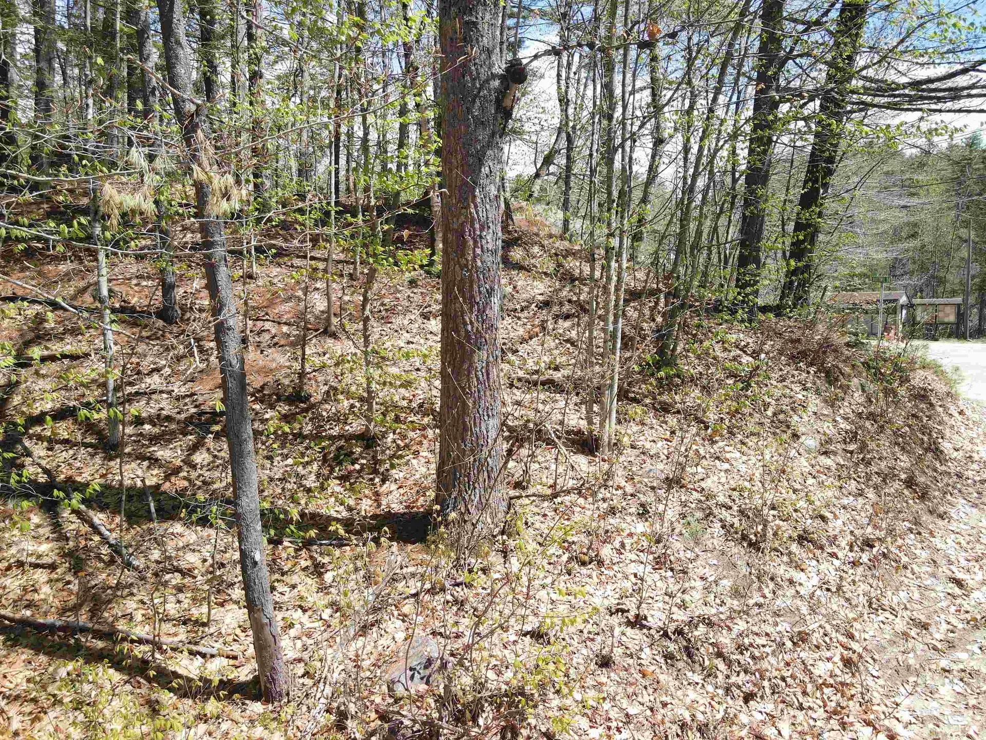 12 Eidelweiss Drive Madison NH 03849